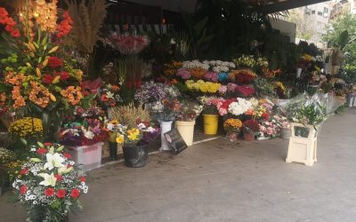 El Mercado Central abre sus puestos de flores este domingo por el Día de la Madre 