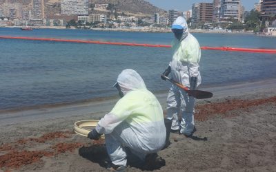 Los servicios de emergencia participan en un simulacro en la playa de la Almadraba