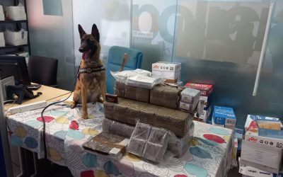 Dos detenidos por tráfico de hachís tras una intervención de la unidad canina