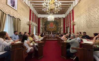 800 efectivos para el dispositivo de seguridad de las Hogueras