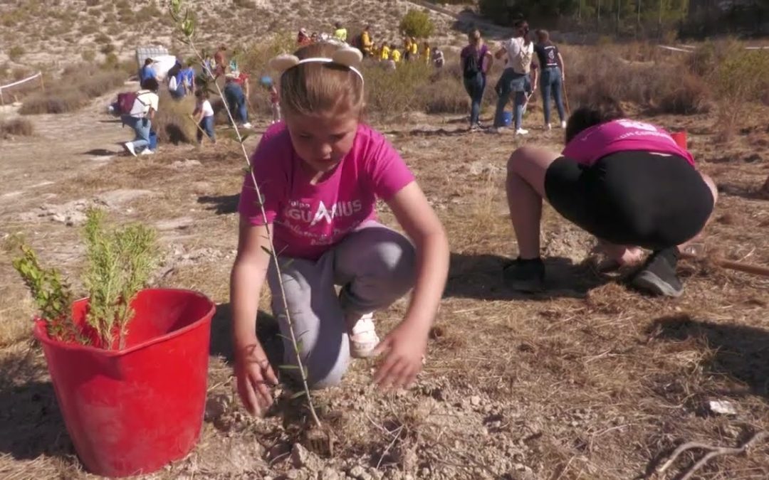 Más de 300 niños toman parte en la VI edición del día del árbol