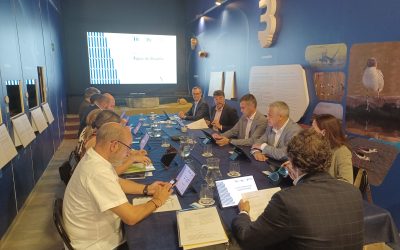 Aguas de Alicante destina 8,3 millones a la renovación de redes de aguas potable y saneamiento