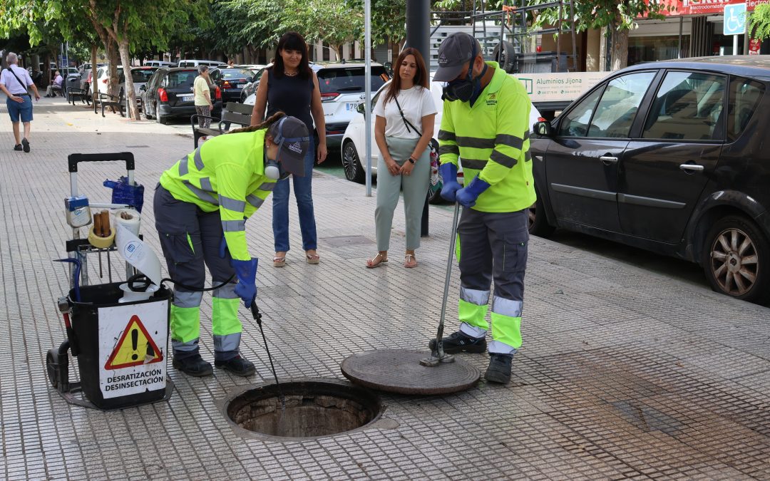 El Ayuntamiento de Sant Joan refuerza este verano el control de plagas con una fumigación extraordinaria en la red de alcantarillado