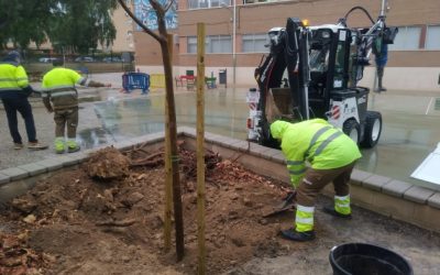 Alicante pone a punto los colegios para el inicio del curso con un plan integral de limpieza y acondicionamiento