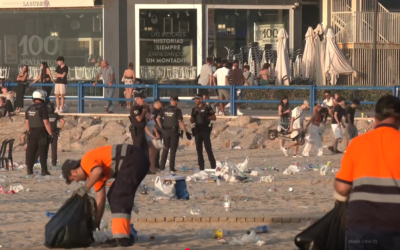 Alicante recoge durante la cremà 664 toneladas de cenizas y restos