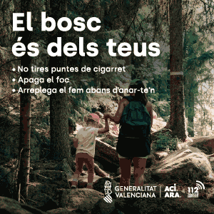 Vuelta a las Aulas
