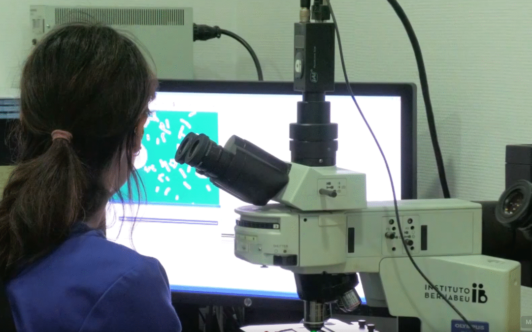 Alicante lidera el futuro de la fertilidad