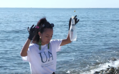La Universidad de Alicante limpia playas con ciencia ciudadana