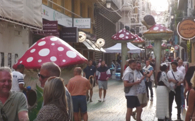 Doble éxito para el comercio local en Alicante