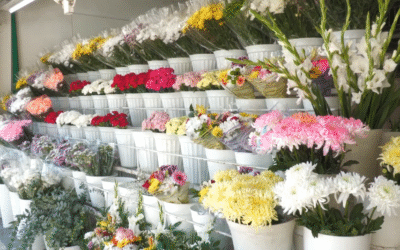La venta de flores crece 60% por Todos los Santos
