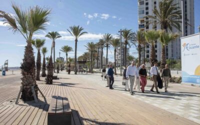La avenida de Niza luce 130 palmeras, carril bici y acceso directo a la playa