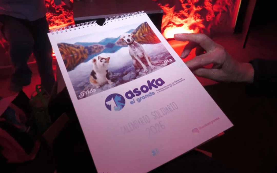 ASOKA presenta su calendario solidario para apoyar el cuidado de animales