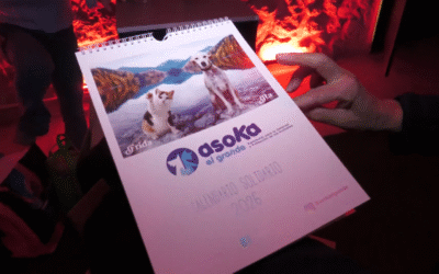 ASOKA presenta su calendario solidario para apoyar el cuidado de animales