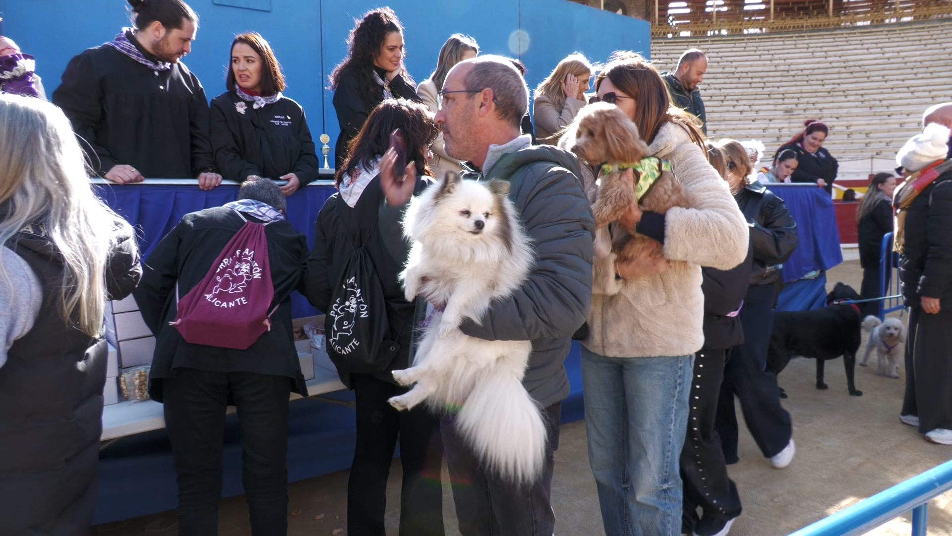 La Bendición de Animales cierra los actos del Porrate con gran participación