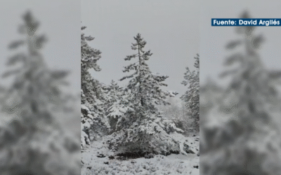 La Sierra de Aitana se tiñe de blanco tras la borrasca Francis