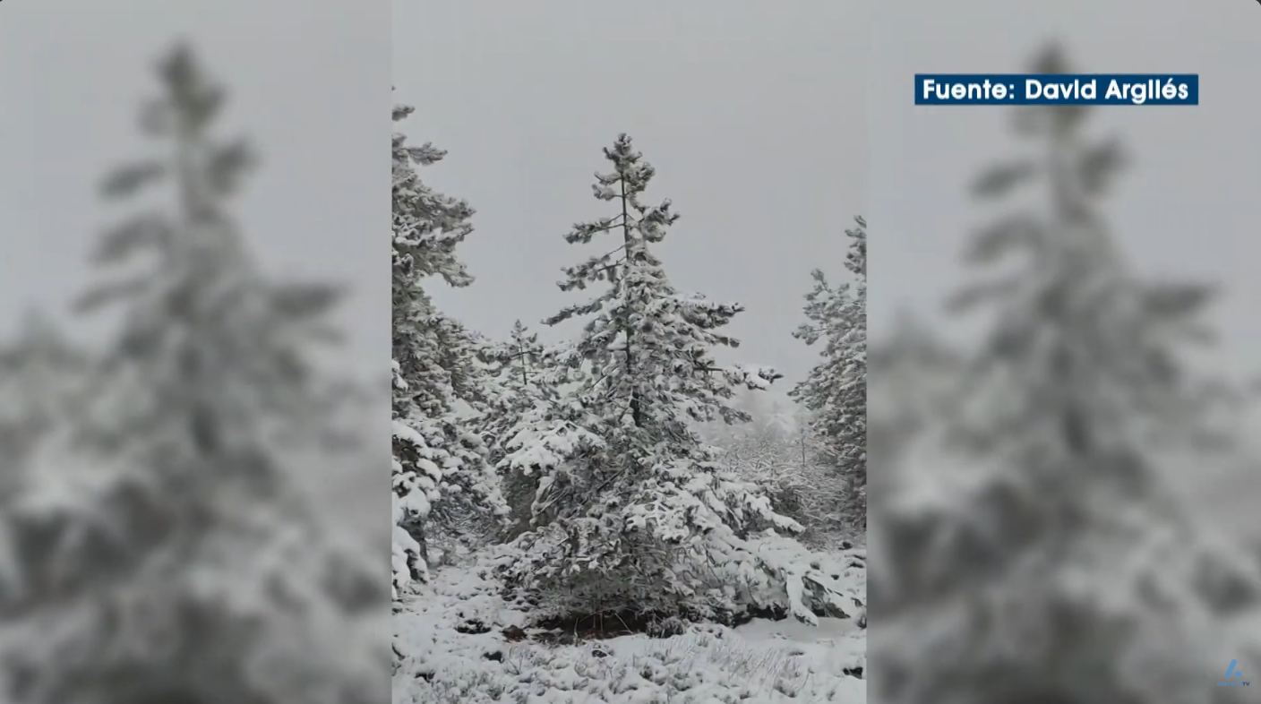 La Sierra de Aitana se tiñe de blanco tras la borrasca Francis
