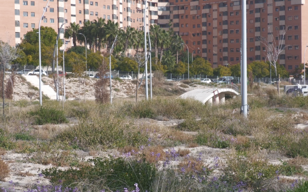 Alicante reanuda las obras del parque de La Torreta por 3,3 millones de euros