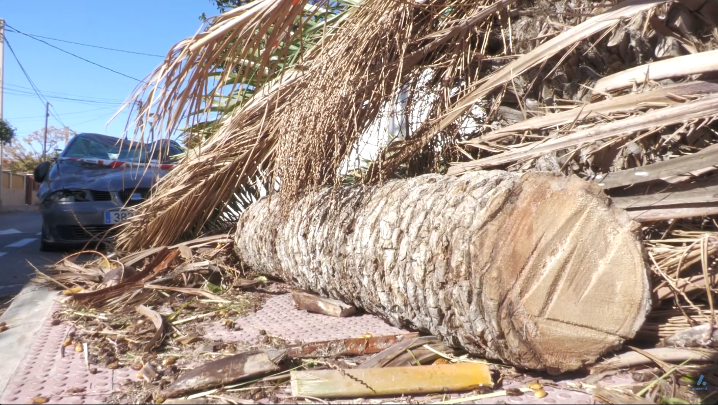 Alicante pendiente de las fuertes rachas de viento