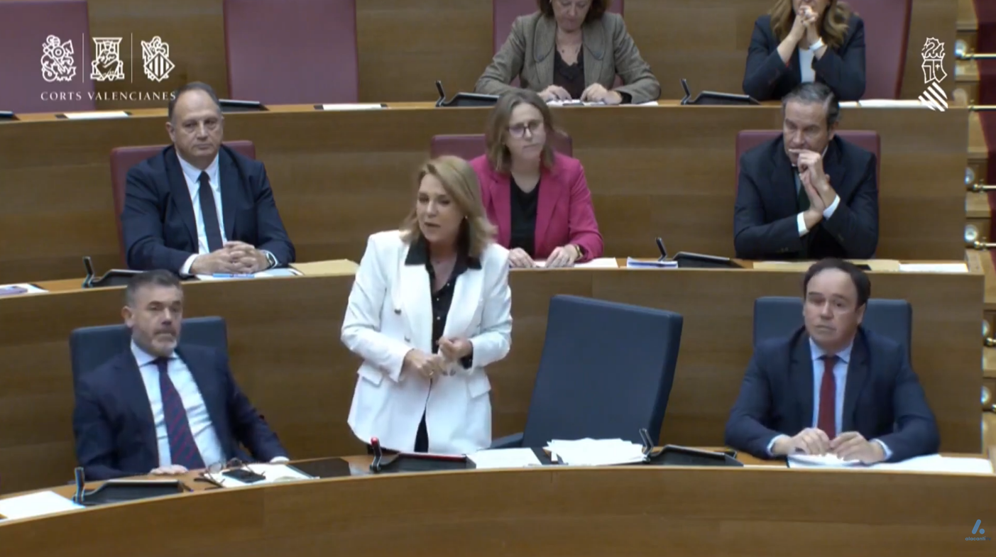 Reproches en el Consell y controles del padrón en Alicante