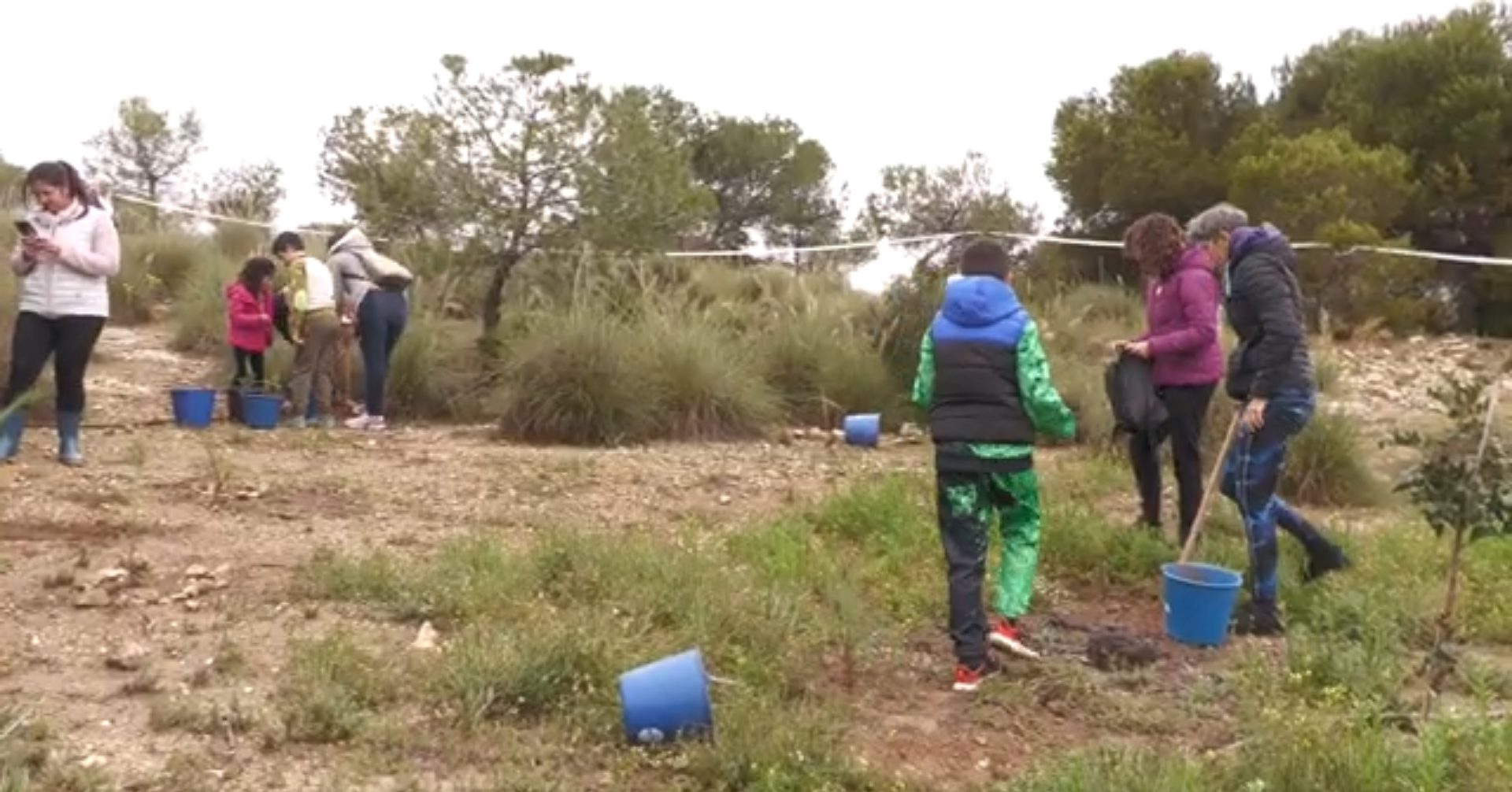 1.000 voluntarios participan en la reforestación del Monte Orgegia