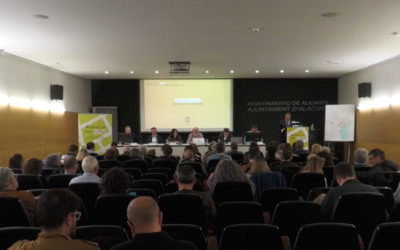 Alicante reserva suelo para cuatro grandes instalaciones deportivas