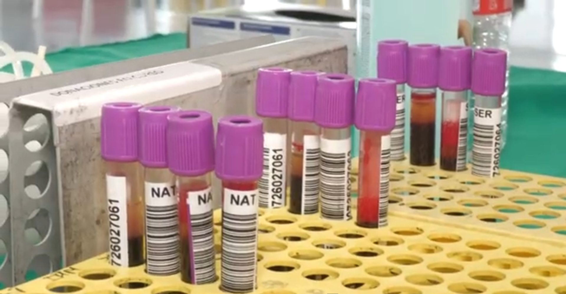 Alicante acoge la novena maratón de donaciones de sangre