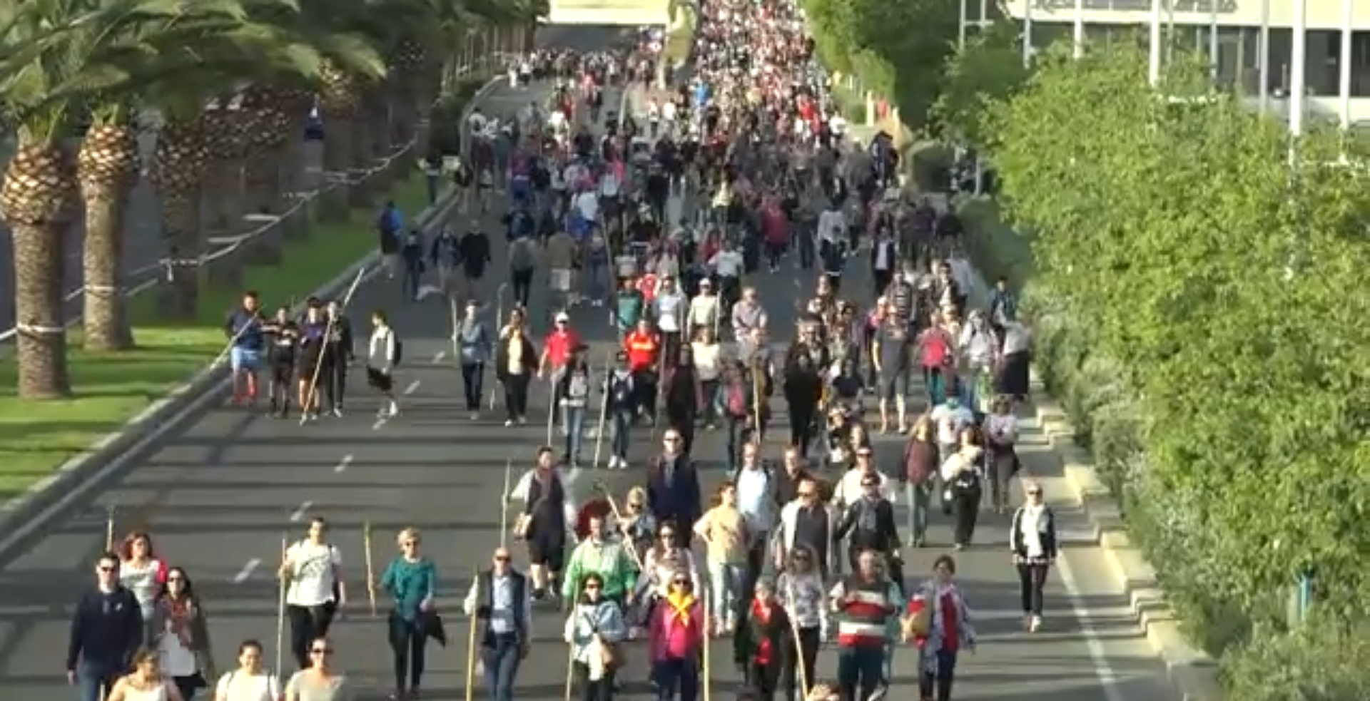 Estas son las recomendaciones básicas para los peregrinos en la Santa Faz