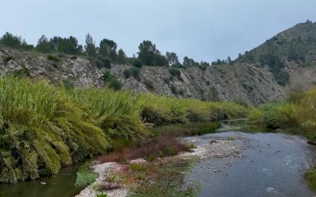 El Monnegre inicia una nueva etapa: el cauce se transformará en un gran pulmón verde