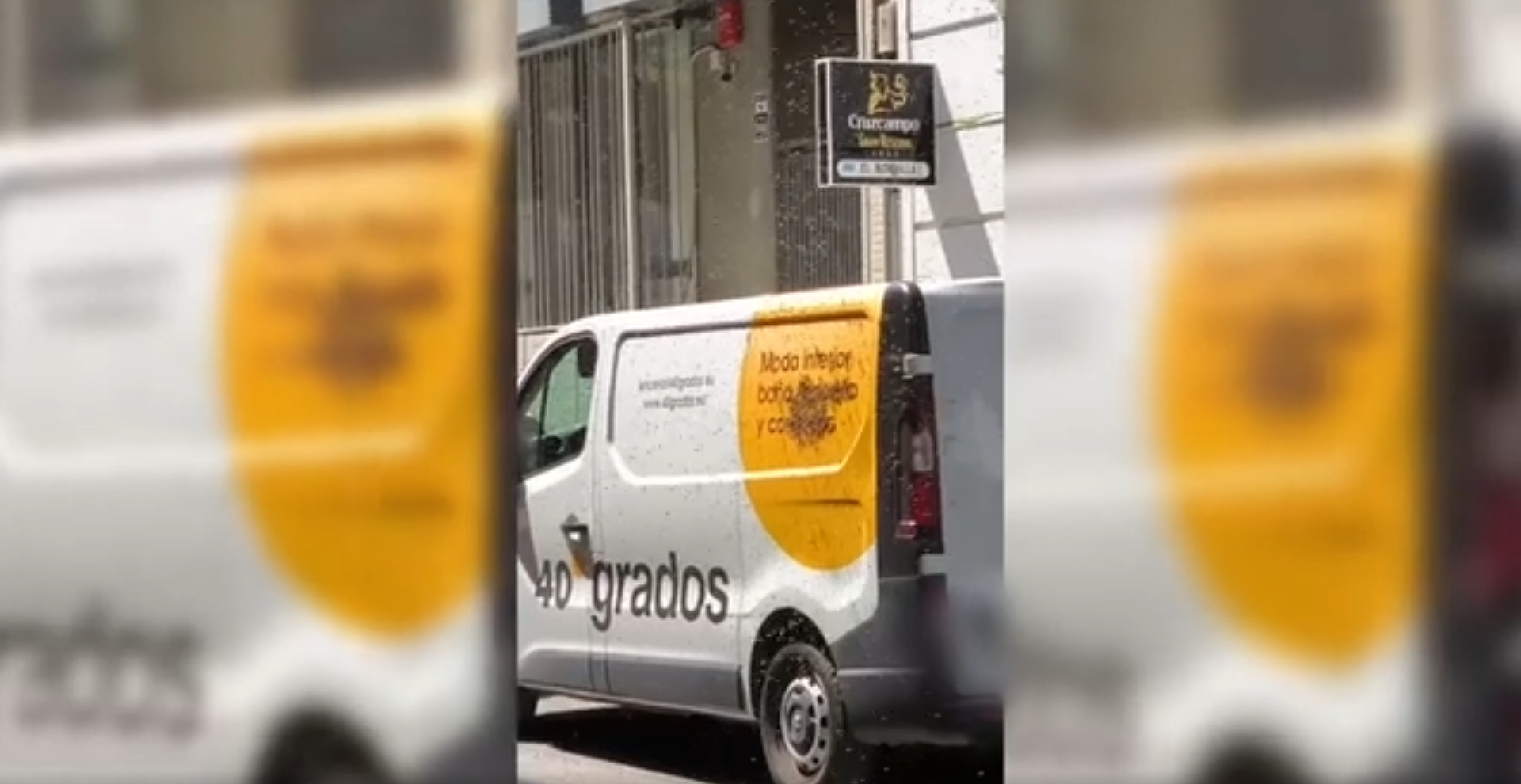 Un enjambre de abejas sorprende en pleno centro de Alicante