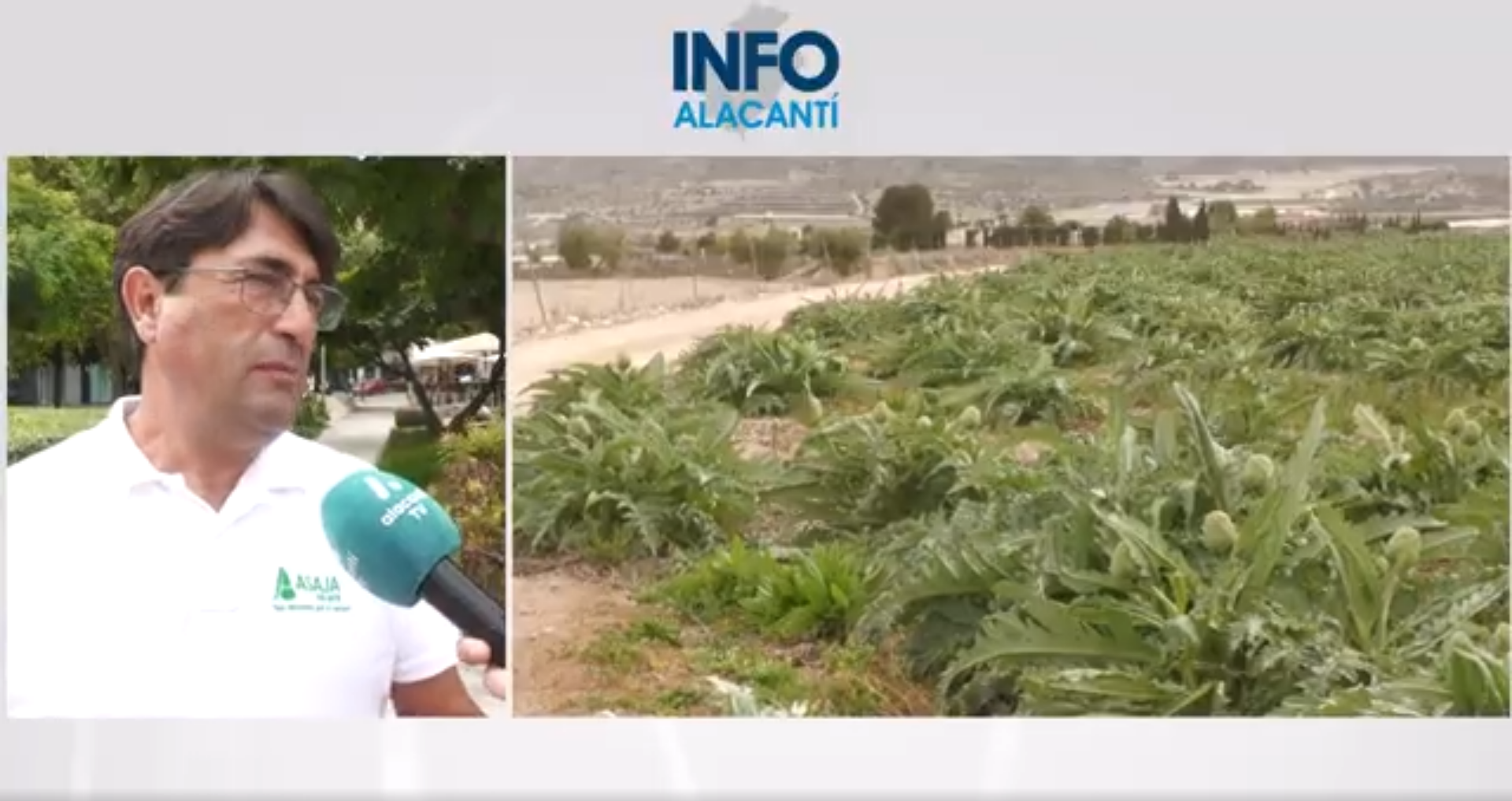 El calor arrecia el campo alicantino y amenaza con encarecer los precios