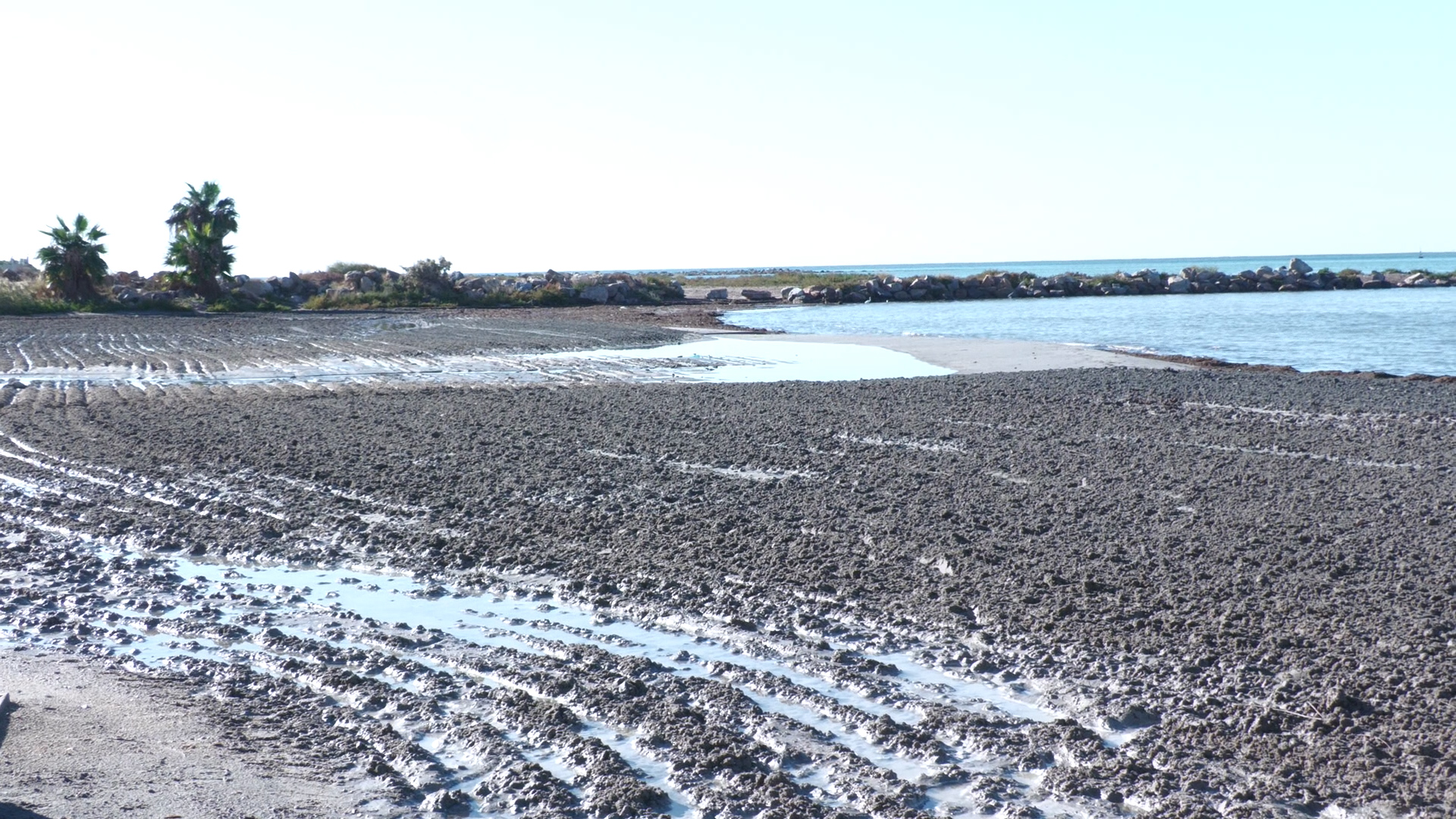 Numerosos daños en las playas del litoral alicantino por la Dana