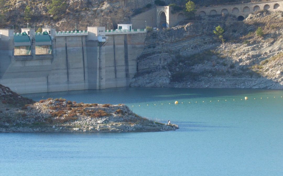 El campo se beneficia de la Dana y aumenta el caudal de los embalses