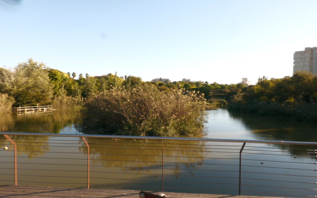 El parque la Marjal y los tanques de tormentas evitan inundaciones en Alicante