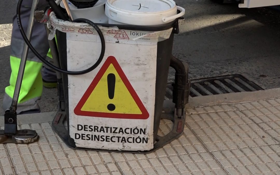 El Ayuntamiento de Alicante refuerza el control de mosquitos por la lluvias
